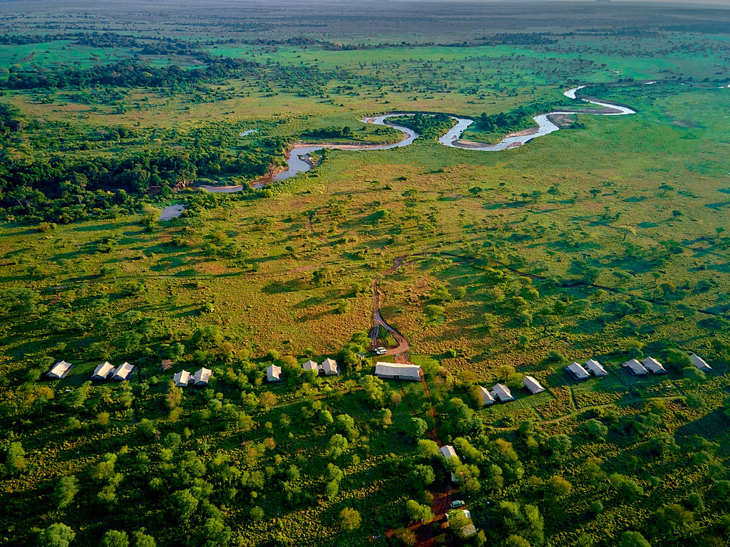 Safari Gallery - OD Adventure Safaris