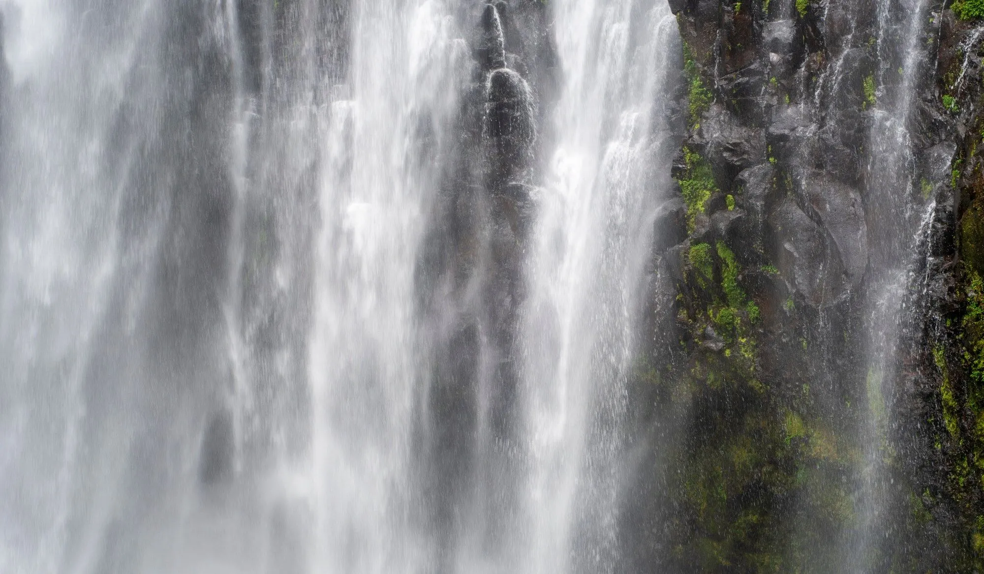 Chemka (Kikuletwa) Hot Springs Day Trip - OD Adventure Safaris